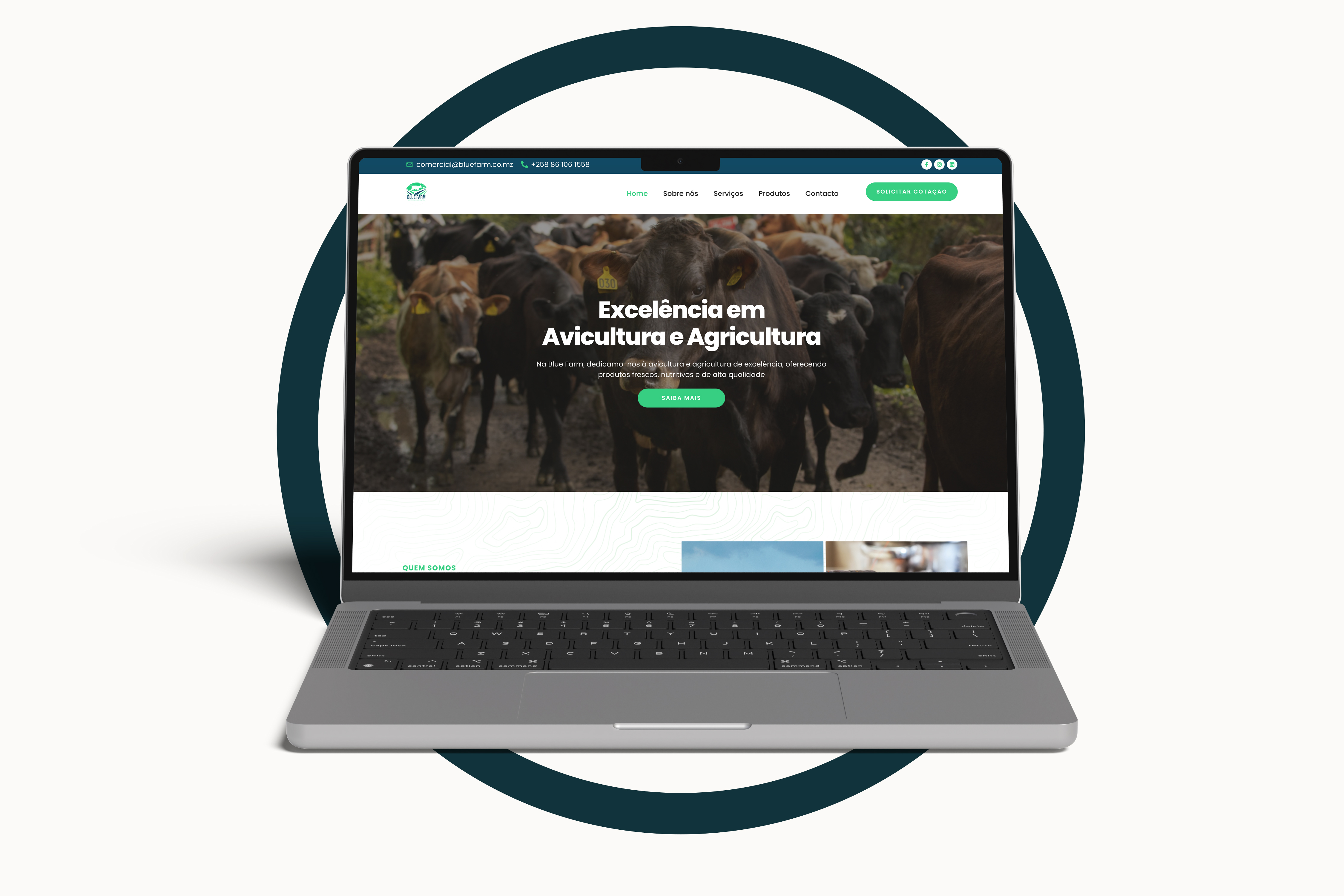 Website Empresarial para Blue Farm